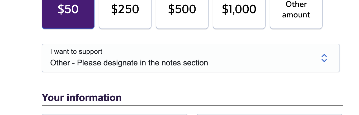 Screenshot showing the 'I want to support' dropdown set to 'Other - Please designate in the notes section'